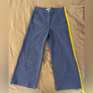 Wide Leg Everlane Pants Cerulean Blue